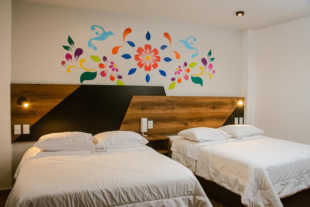 Platero Hotel 阿亚库乔 外观 照片